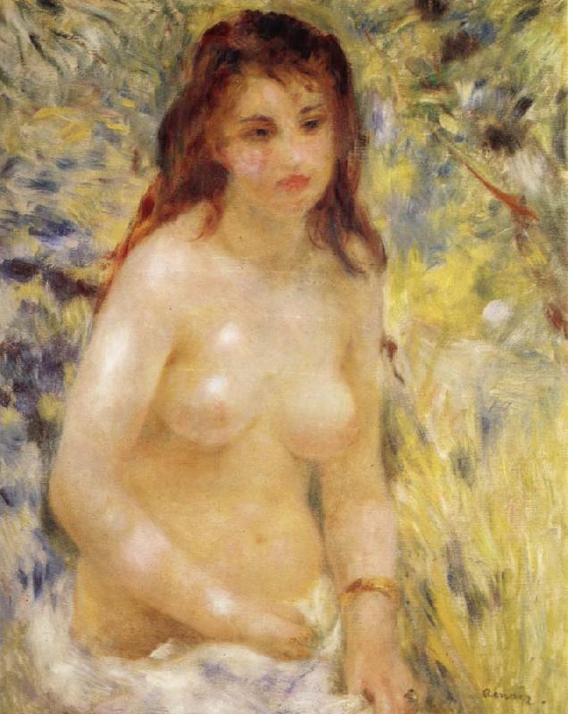Pierre-Auguste Renoir The female nude under the sun oil painting image